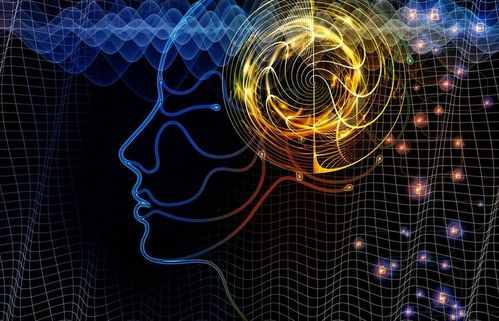 北京理工大學(xué)“3+2”留學(xué)項(xiàng)目 計(jì)算機(jī)軟件開(kāi)發(fā)專業(yè)深度解析