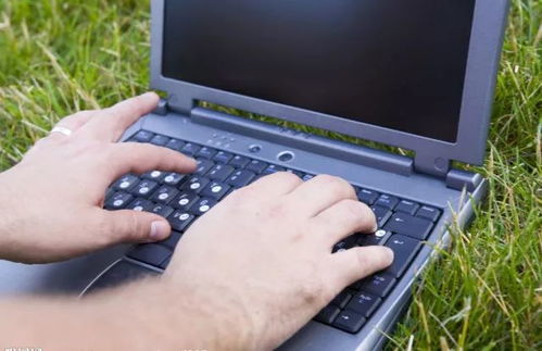 美麗中國(guó)，我是行動(dòng)者——計(jì)算機(jī)軟件研發(fā)的綠色使命與創(chuàng)新實(shí)踐